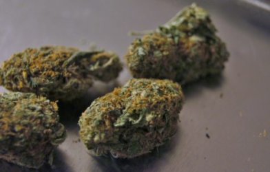 marijuana, weed