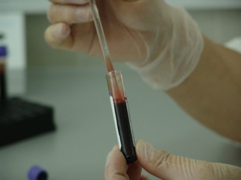 Test tube of blood