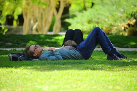 Man sleeping on the grass