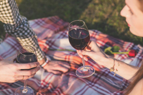 People drinking wine at picnic