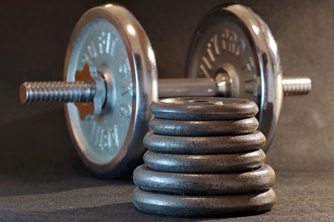 Dumbbell and weights