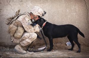 Soldier kissing a dog