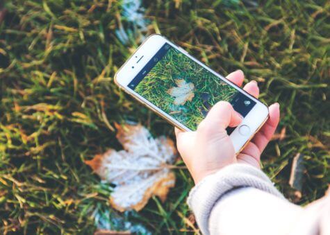 Person snapping a photo of a leaf with their phone