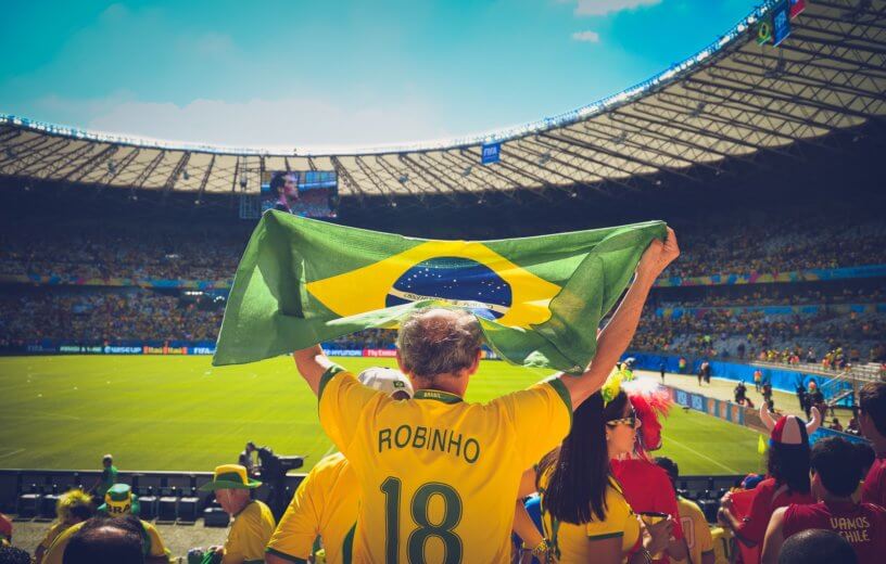 Soccer fan holding flag
