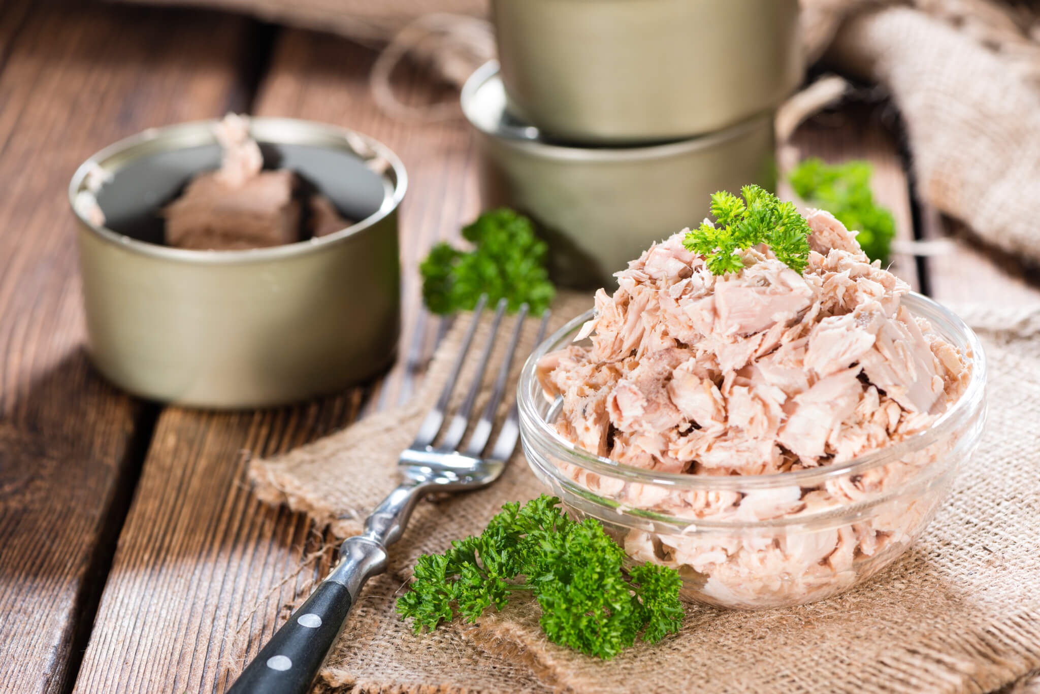 Canned tuna in a bowl