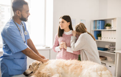 Veterinarian working with worried dog owner