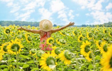 Happy woman with arms wide open in field of sunflowers