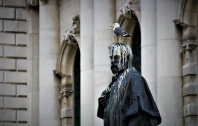 Statue covered in bird poop as seagull stand on its head