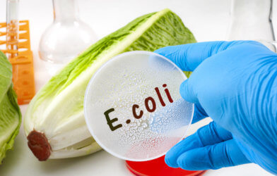 E. coli test