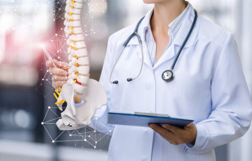 Doctor showing spine, back bone