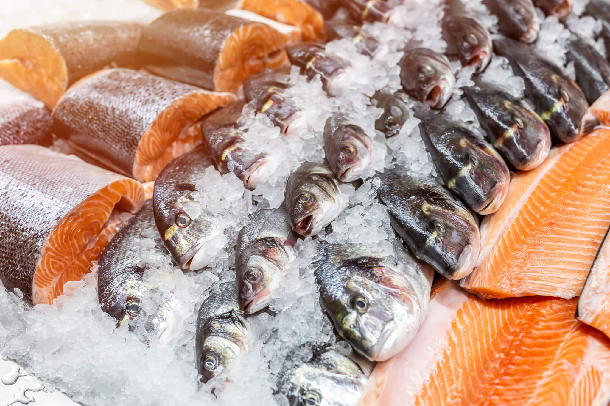 Fish, salmon in seafood market