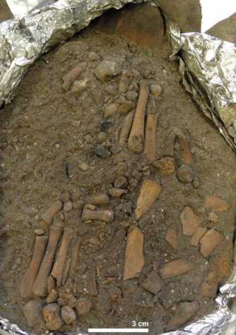 Ancient Child Burial