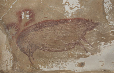 Ancient pig painting found in cave