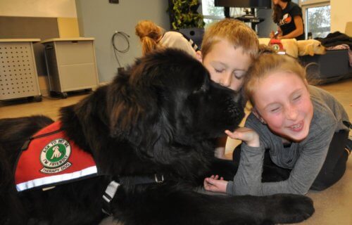 therapy dog children