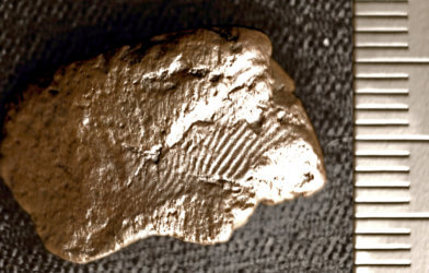 Ancient fingerprint
