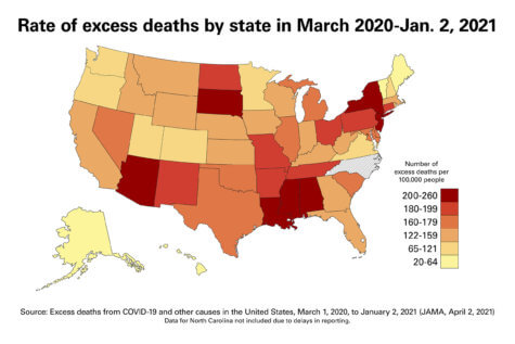 covid deaths 2020