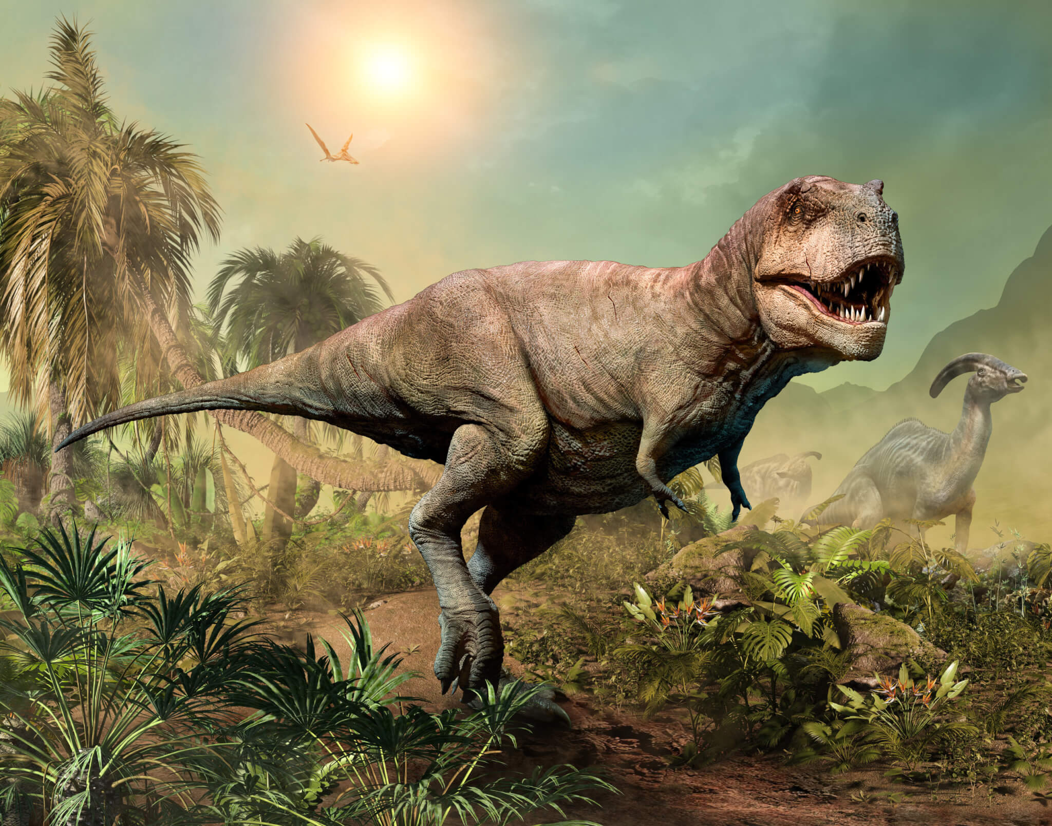 What do you know about T. rex?