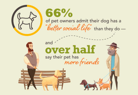 Social Lives Pets