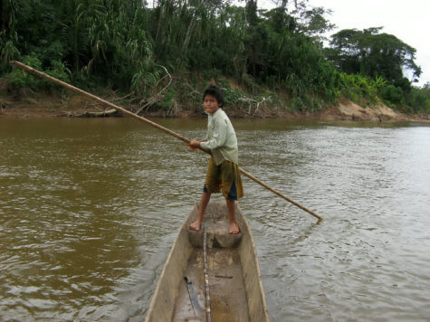 Tsimane child - Amazon tribe study