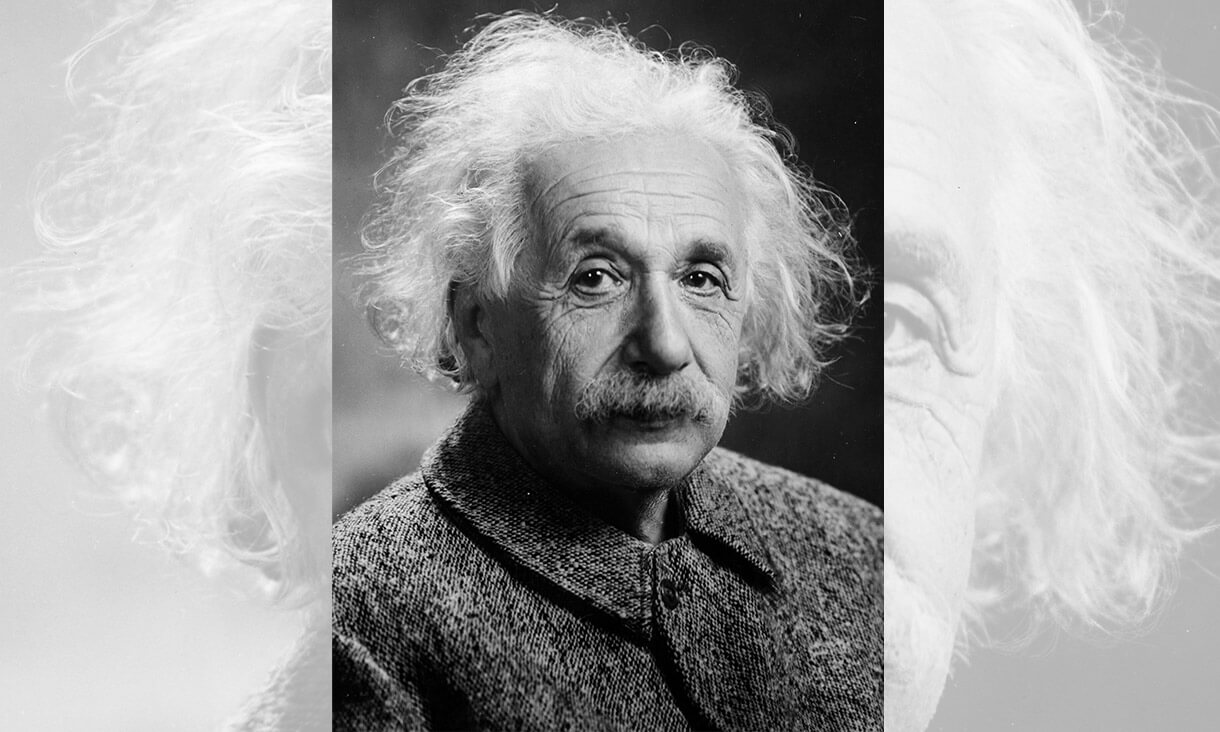 Newly discovered letter reveals Albert Einstein's views on birds, bees ...