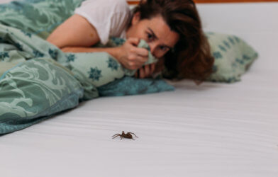 Woman scared of spider in her bed