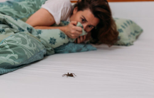 Woman scared of spider in her bed