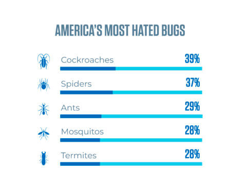Hated Bugs