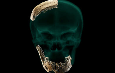 Prehistoric skull found in Israel