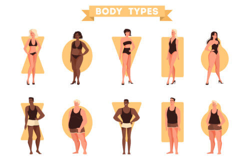 Body shapes and types