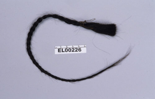 Sitting Bull's scalp lock.