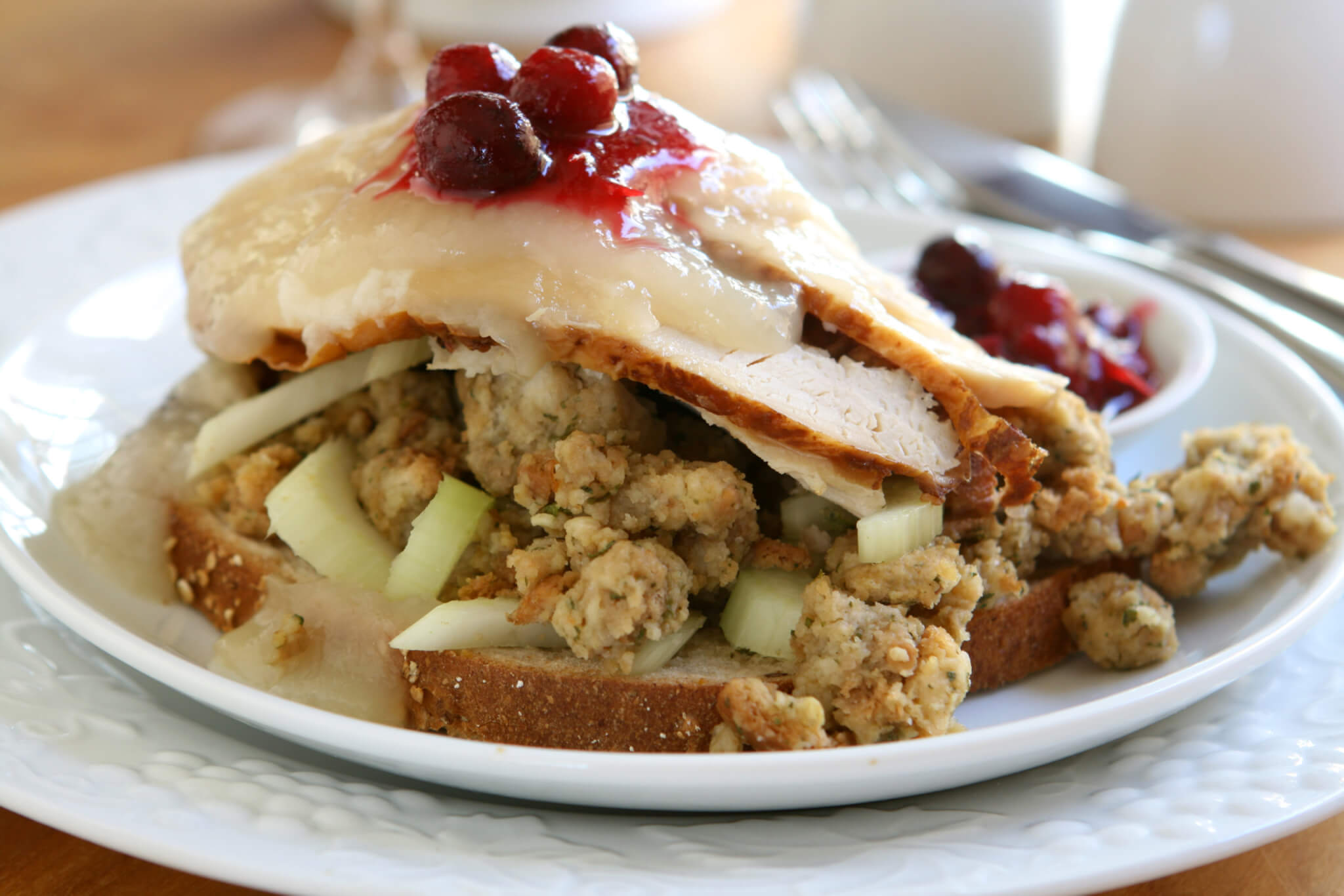 Thanksgiving plate with turkey, stuffing, cranberry sauce