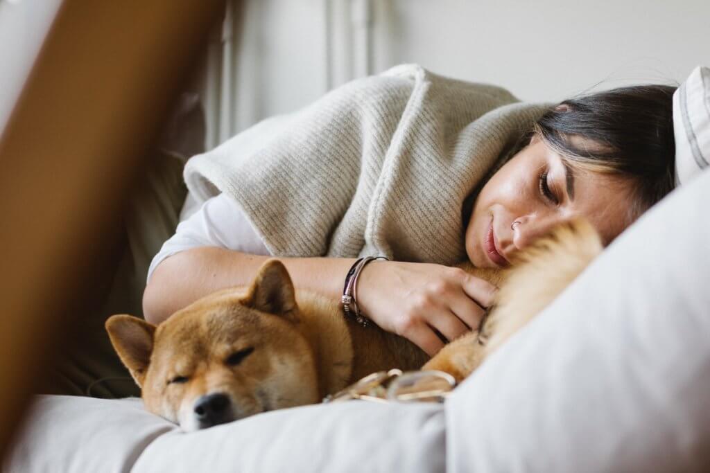Caring For Pets More Stressful Than Being A Parent, Poll Reveals