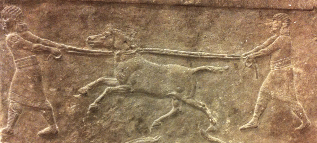 Hemione panel Niniveh