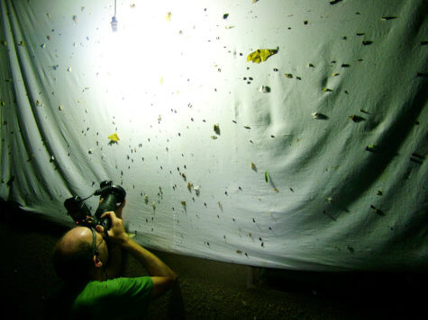 Dr. Alvin Helden photographing insects