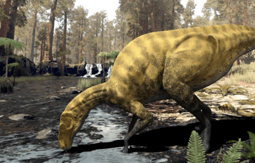 Portellsaurus sosbaynat