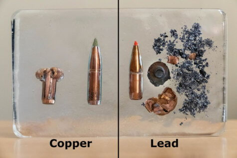Copper and lead ammunition comparison