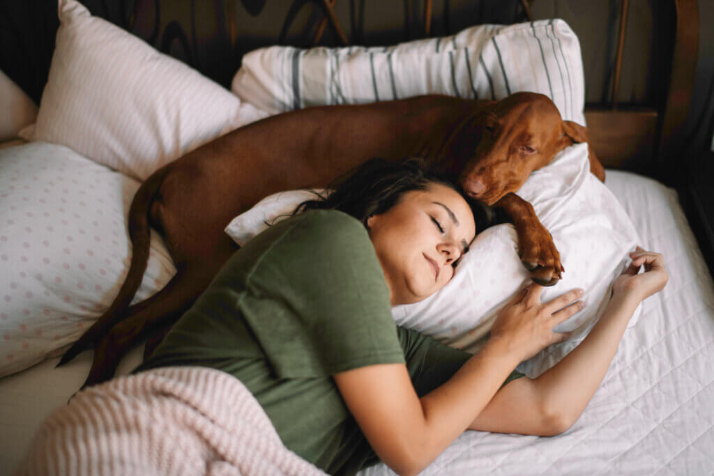 Dog sleeping with owner in bed