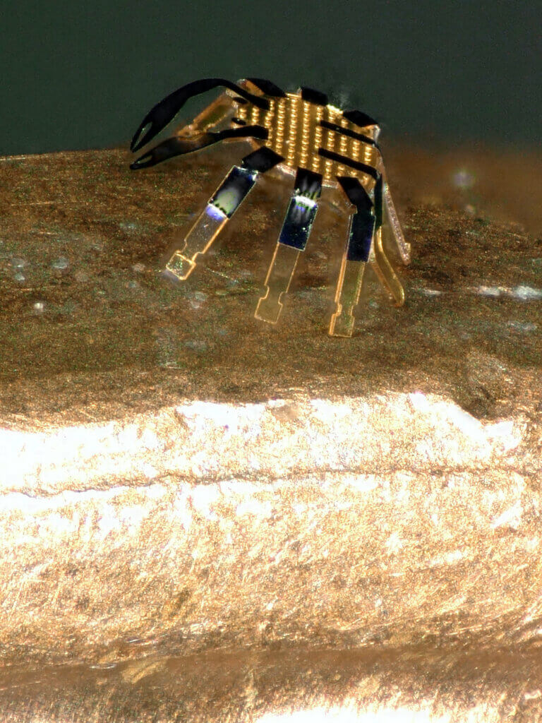 Miniature crab robot
