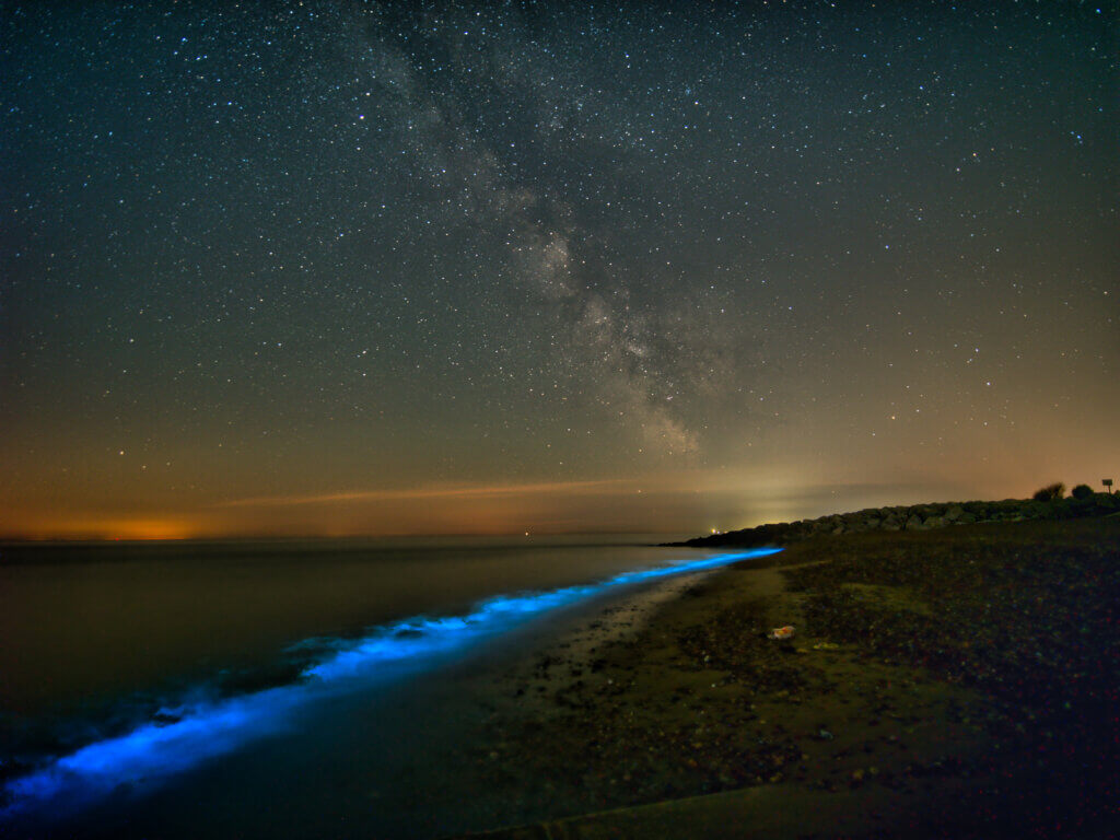 Bioluminescence and the Milky Way