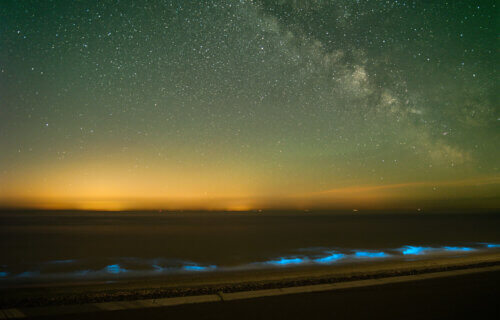 Bioluminescence and the Milky Way