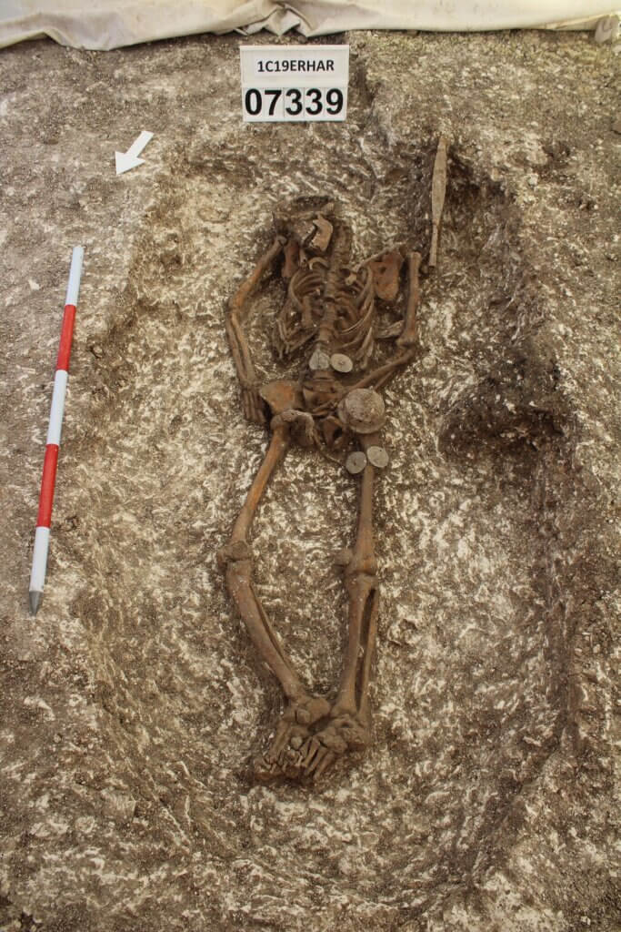 Anglo Saxon skeletons