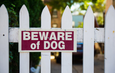 Beware of Dog sign
