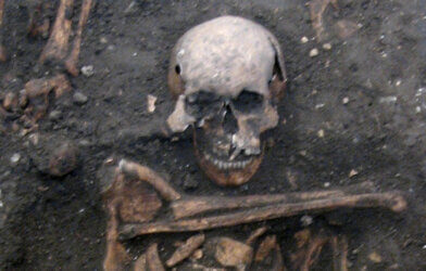 ASkeleton unearthed in ancient herpes DNA study
