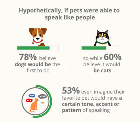 pets speaking
