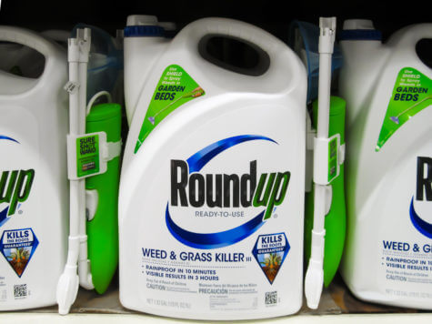 Roundup weedkiller on shelf at store.