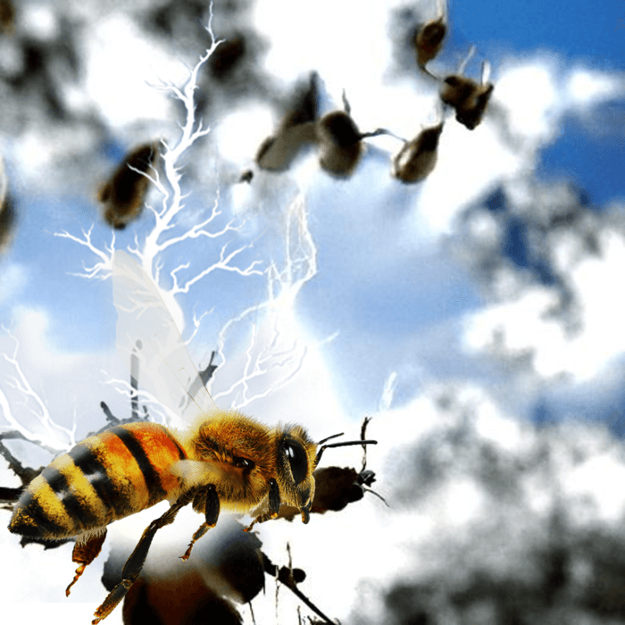 bees electricity