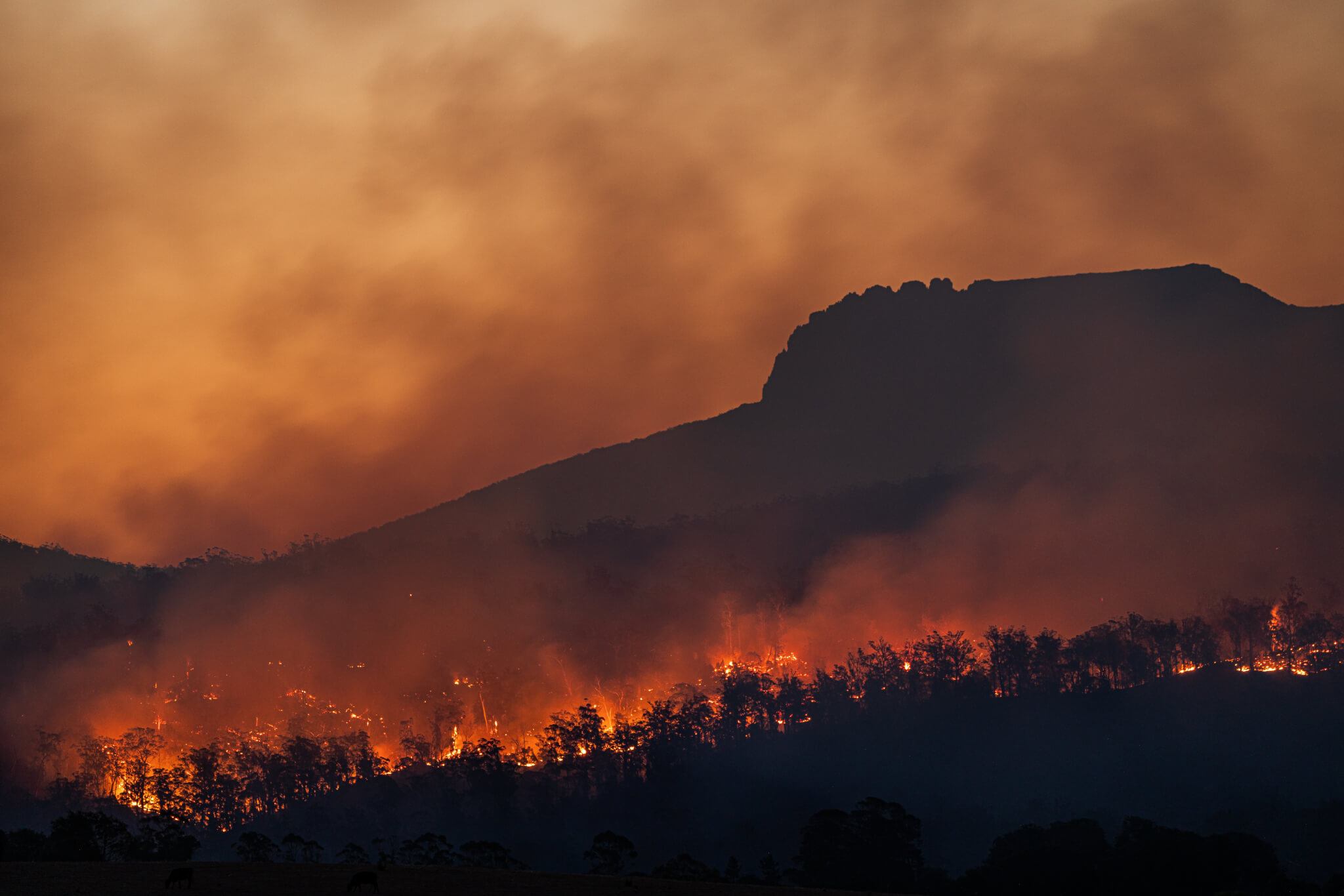 حرائق الغابات أسفل ستاكس بلاف، تسمانيا، أستراليا