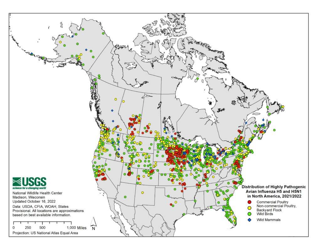Bird flu cases: Distribution of highly pathogenic avian influenza in North America 2021/2022