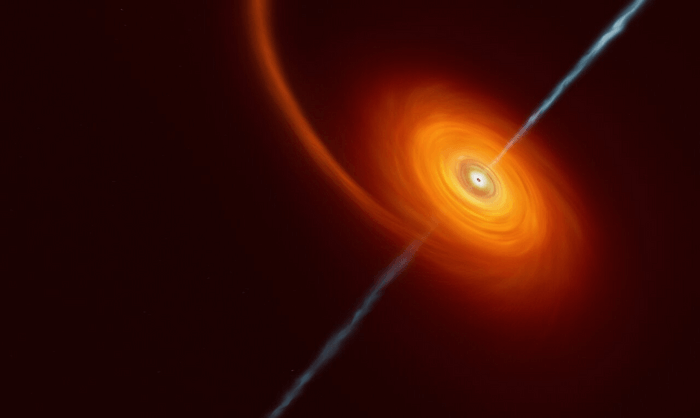 black hole star