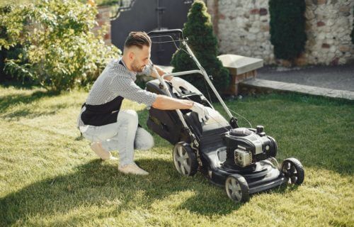 7 Best Lawn Mowers For Keeping A Perfect Yard, Per Experts 
